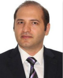 EEEP2018 | Sayed M. Bateni